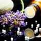 Chronické ochorenia: Príčiny, prevencia a liečba
