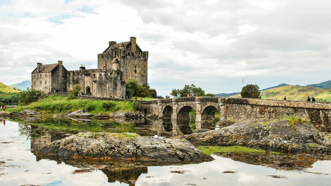 Športové stávky: Kognitívne skreslenie fanúšikovstva a racionálna dátová analýza