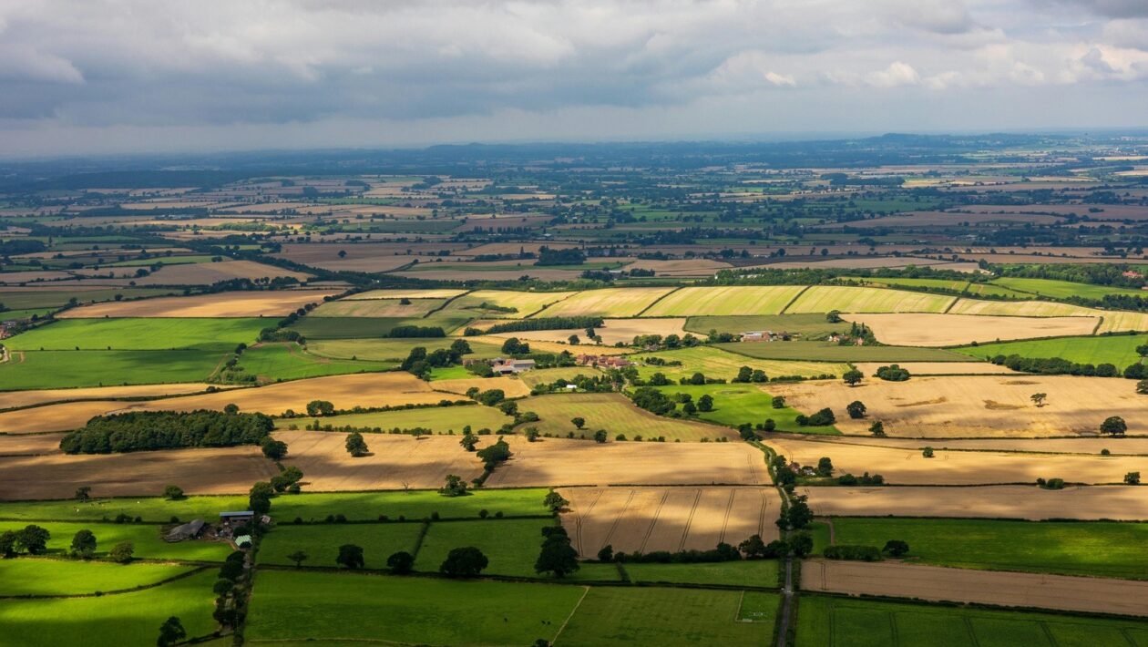Dizajn kasín: Hudba, osvetlenie a tempo ako nástroje psychologickej manipulácie