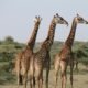 Nastavenie osobných hraníc: Definovanie (ne)ponúkaného obsahu a súkromia