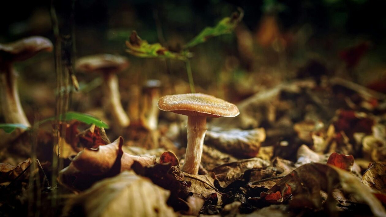 Consent 101: Transparentná komunikácia a jasné pravidlá pre interakciu so sledovateľmi