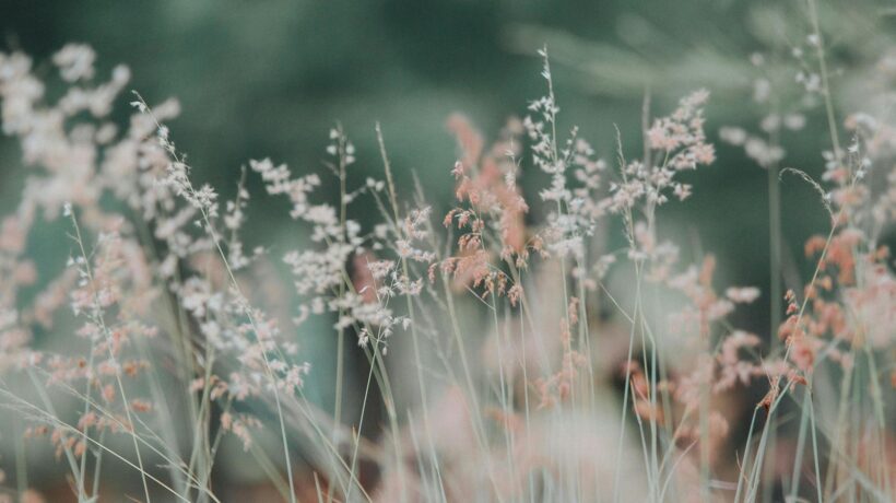 Bezpečná analytika: Kritériá merania bez narušenia súkromia fanúšikov