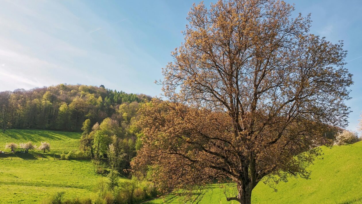 Safety kit pre domácu tvorbu: Technické, poisťovacie a núdzové kontakty