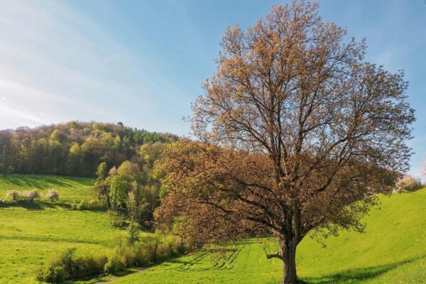 Safety kit pre domácu tvorbu: Technické, poisťovacie a núdzové kontakty