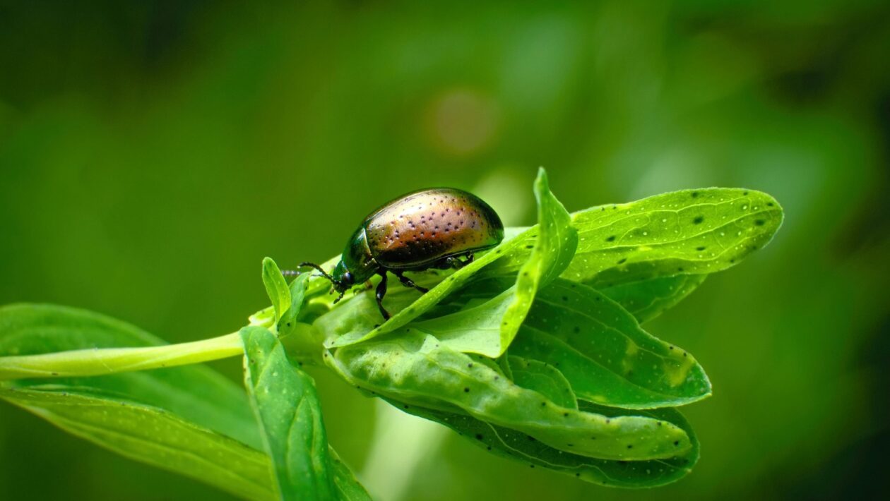 'Energetickí upíri': mýty a návod, ako si nastaviť praktické hranice